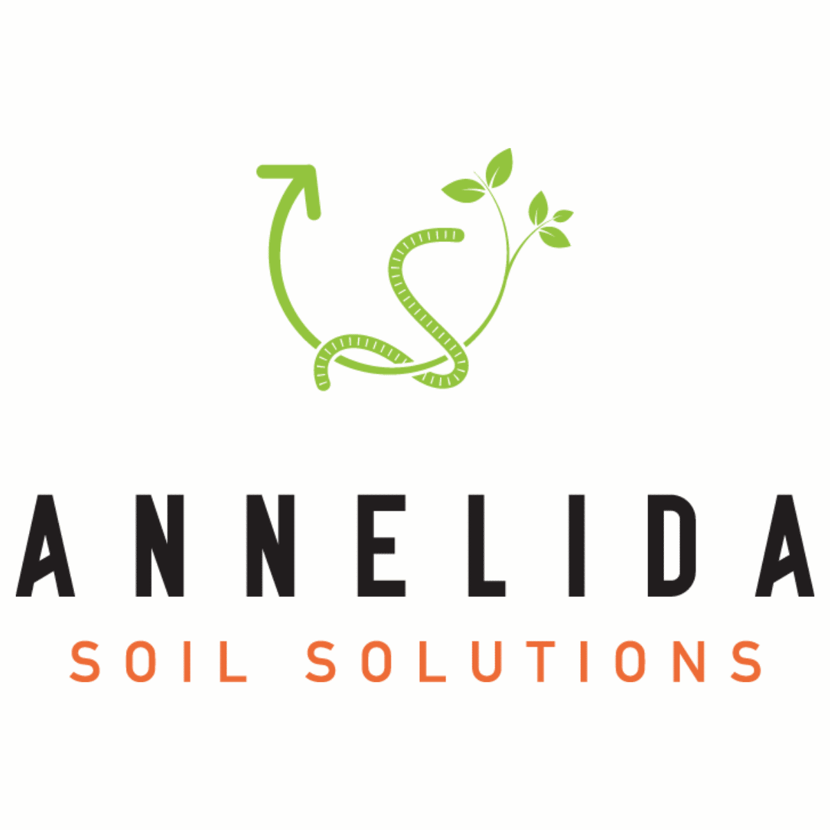 ANNELIDA WORM CASTINGS