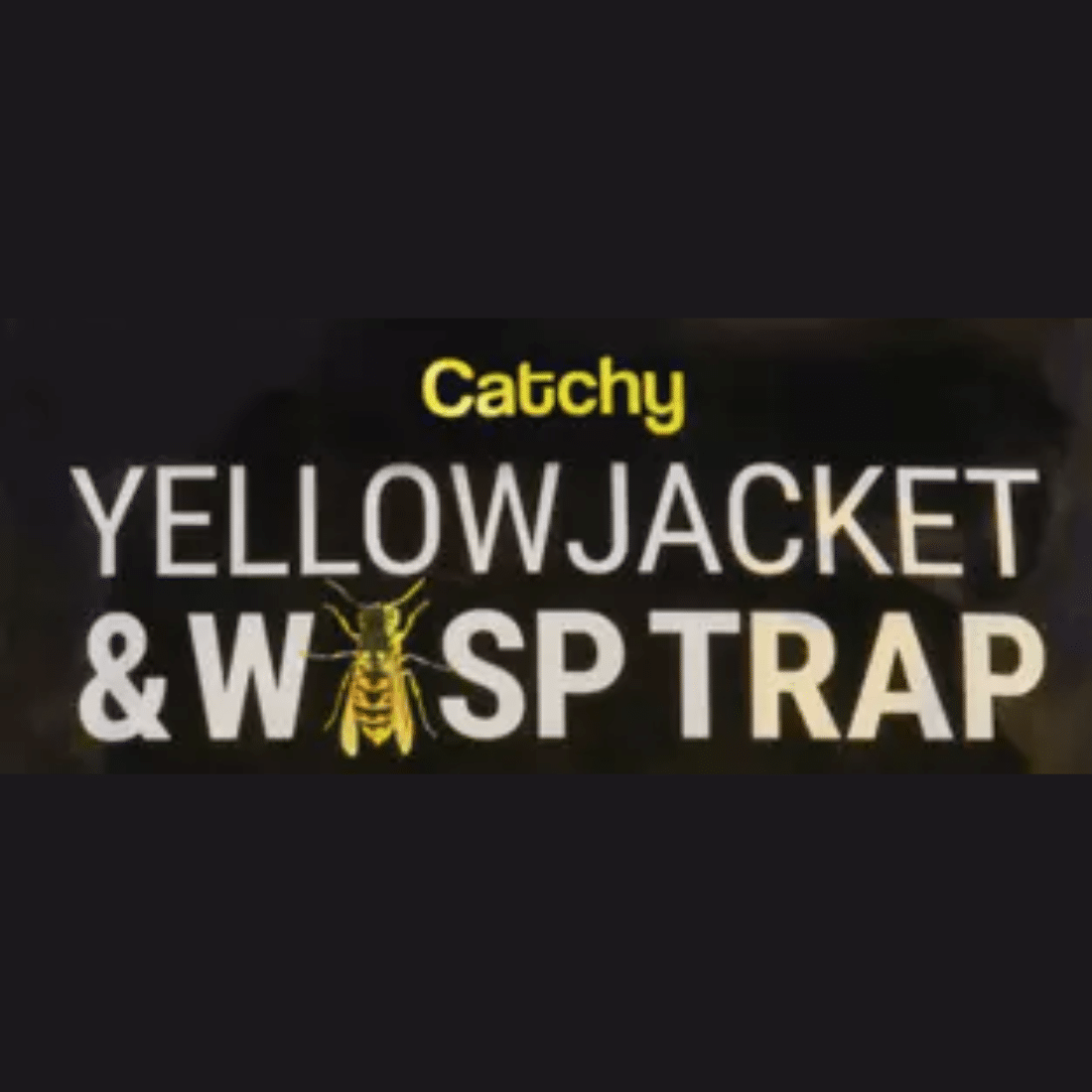 CATCHY TRAPS