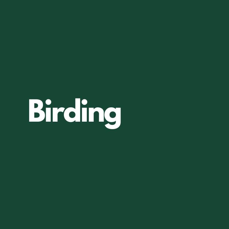 Birding