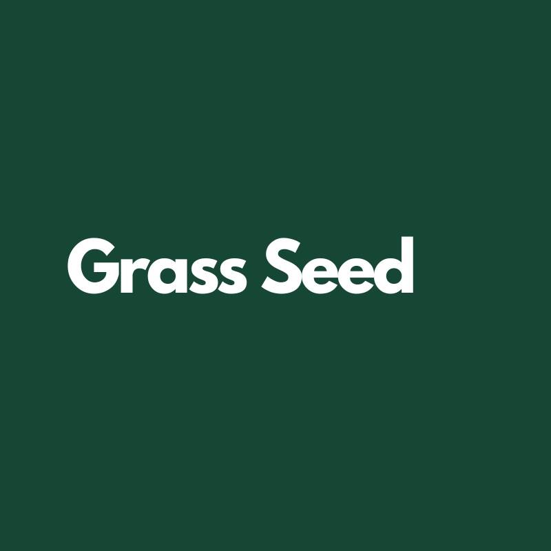 Grass Seed