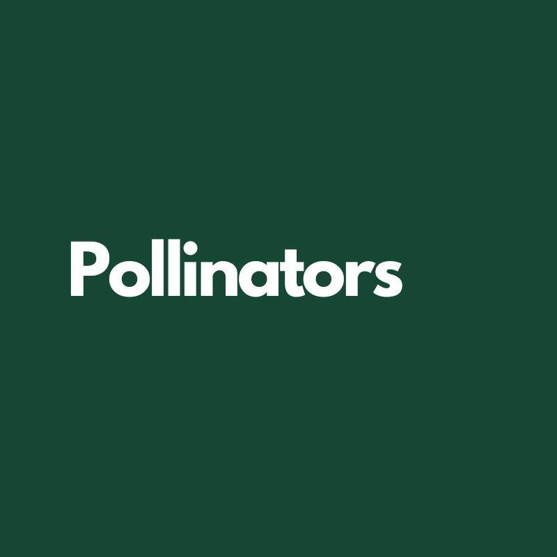 Pollinators